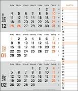 tm 3-Monats-Planer orange 2024. Praktischer Wandplaner mit Datumsschieber. Büro-Kalender mit Notizspalte und Jahresübersicht. Wandkalender 2024 fürs Büro. 30 x 35 cm