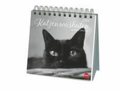 Wegler Katzen Weisheiten Premium-Postkartenkalender 2024. 53 Postkarten mit zauberhaften Katzenfotos und Zitaten in einem kleinen Kalender für Katzenfans. Zum Aufstellen