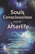 Souls Consciousness and the Afterlife: Discover the Mystery, Magic, and Magnificence