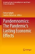 Pandemnomics: The Pandemic's Lasting Economic Effects