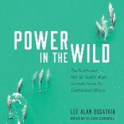 Power in the Wild: The Subtle and Not-So-Subtle Ways Animals Strive for Control Over Others
