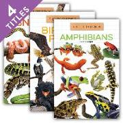 Field Guides Set 3 (Set)