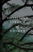 Conscious Stream of Wonder