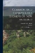 Common And Conspicuous Lichens Of New England: A Fieldbook For Beginners