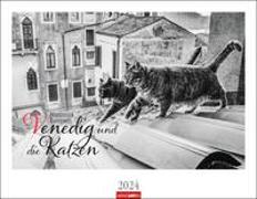 Venedig und die Katzen Kalender 2024. Samtpfoten in der Lagunenstadt, eingefangen in einem großen Wandkalender in schwarz-weiß. Hochwertiger Fotokalender im Großformat für Katzenliebhaber