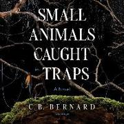 Small Animals Caught in Traps