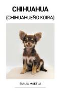 Chihuahua (Chihuahueño Koira)