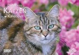 DUMONTS Katzenkalender 2024 - Broschürenkalender - Wandkalender - mit Schulferienterminen - Format 42 x 29 cm