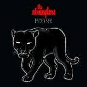 Feline (Deluxe) Softbook