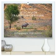 Auf Pirschfahrt im Kgalagadi Transfrontier Park (hochwertiger Premium Wandkalender 2024 DIN A2 quer), Kunstdruck in Hochglanz
