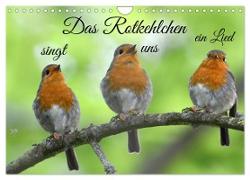 Das Rotkehlchen singt uns ein Lied (Wandkalender 2024 DIN A4 quer), CALVENDO Monatskalender