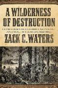 A Wilderness of Destruction: Confederate Guerillas in East and South Florida, 1861-1865