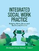 Integrated Social Work Practice: Bridging Micro, Mezzo, and Macro Level Practice