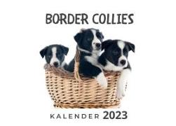 Border Collies