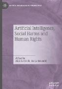 Artificial Intelligence, Social Harms and Human Rights