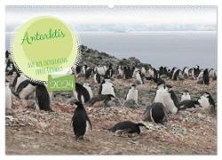 Antarktis Auf der Entdeckung ihrer Tierwelt (Wandkalender 2024 DIN A2 quer), CALVENDO Monatskalender