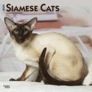 SIAMESE CATS 2024 SQUARE