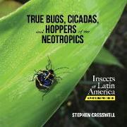 True Bugs, Cicadas, and Hoppers of the Neotropics