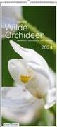 Wilde Orchideen 2024