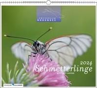 Lebensraum Bodensee - Schmetterlinge 2024