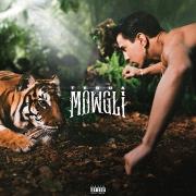 Mowgli Il disco della Giungla