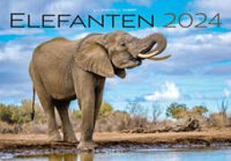 Elefanten Kalender 2024