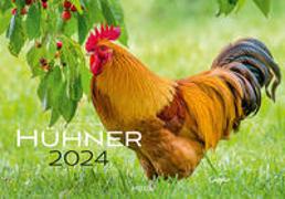 Hühner Kalender 2024