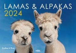 Lamas & Alpakas Kalender 2024