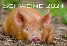 Schweine Kalender 2024