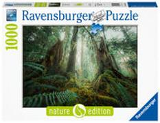 Ravensburger Puzzle Nature Edition 17494 Faszinierender Wald - 1000 Teile Puzzle für Erwachsene und Kinder ab 14 Jahren