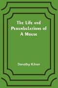 The Life and Perambulations of a Mouse