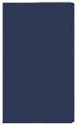 Taschenkalender Pluto geheftet PVC blau 2024