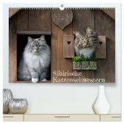 Maui und Molokai - Sibirische Katzenschwestern (hochwertiger Premium Wandkalender 2024 DIN A2 quer), Kunstdruck in Hochglanz