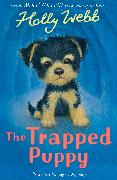 The Trapped Puppy