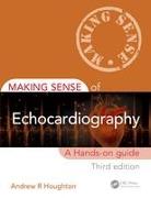 Making Sense of Echocardiography