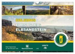 Erlebnis Forststeig Elbsandstein (Wandkalender 2024 DIN A3 quer), CALVENDO Monatskalender