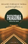 Patagonia Route 203