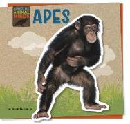 Apes