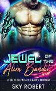 Jewel of the Alien Bandit: A Sci Fi Alien Fated Mates Romance