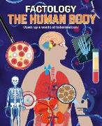 The Human Body