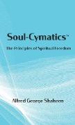 Soul-Cymatics¿