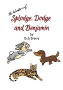 Splodge, Dodge and Benjamin