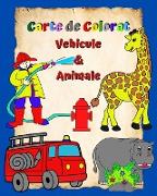 Carte de Colorat Vehicule si Animale