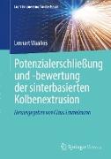 Potenzialerschließung und -bewertung der sinterbasierten Kolbenextrusion