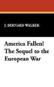 America Fallen! the Sequel to the European War