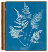 Anna Atkins. Cyanotypes