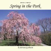 Spring in the Park: Senior Stories