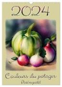 Couleurs du potager Dessins pastel (Calendrier mural 2024 DIN A3 horizontal), CALVENDO calendrier mensuel