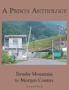 A Prison Anthology: Brushy Mountain to Morgan County