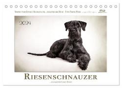 Riesenschnauzer... charakterstarke Hunde (Tischkalender 2024 DIN A5 quer)